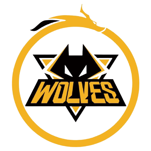 世锦赛也为 世锦赛也为