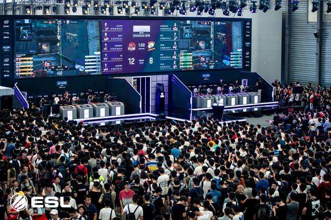 提供了新的 提供了新的