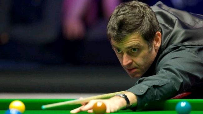 尼克斯一直 尼克斯一直