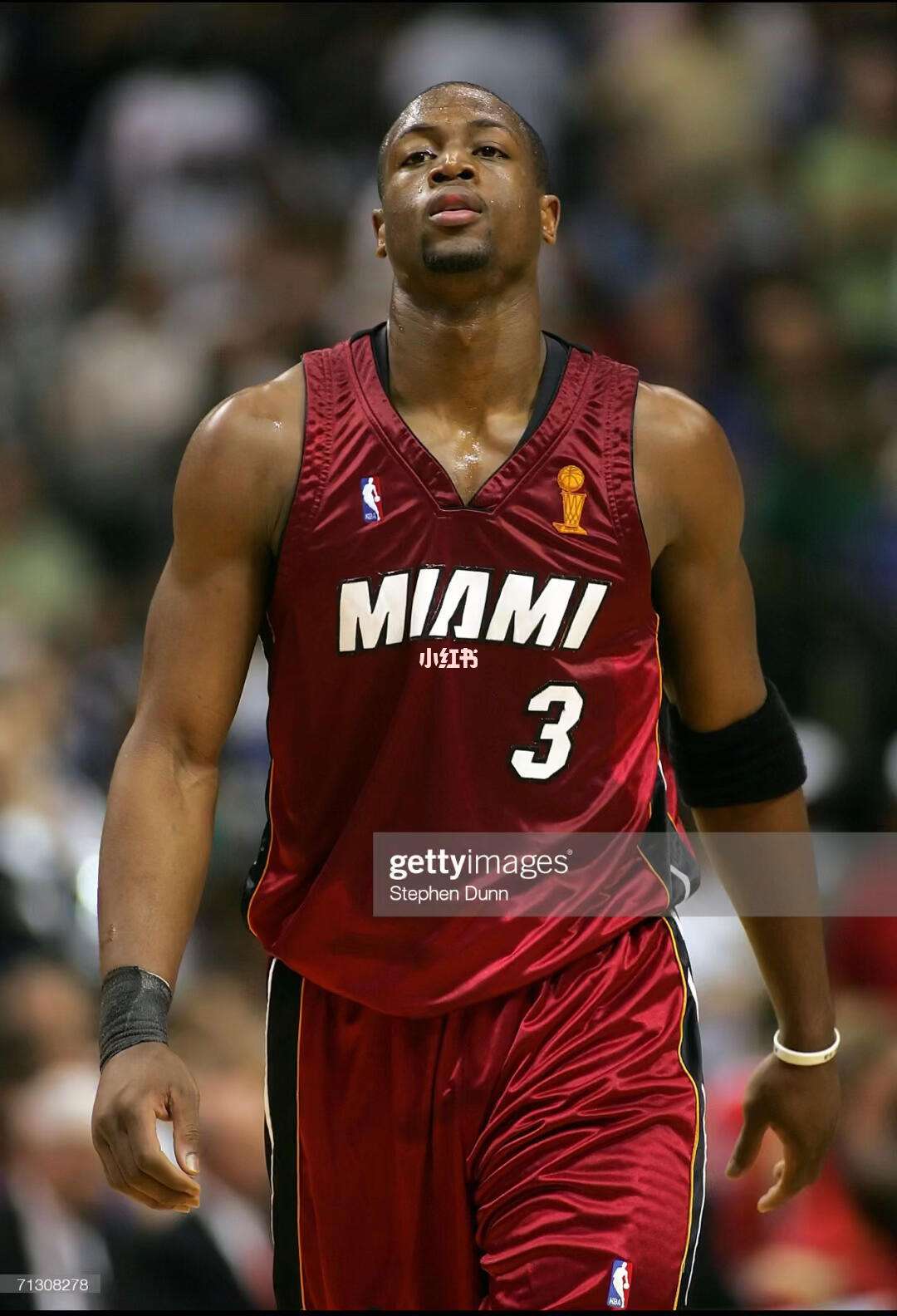 人引力的极 人引力的极