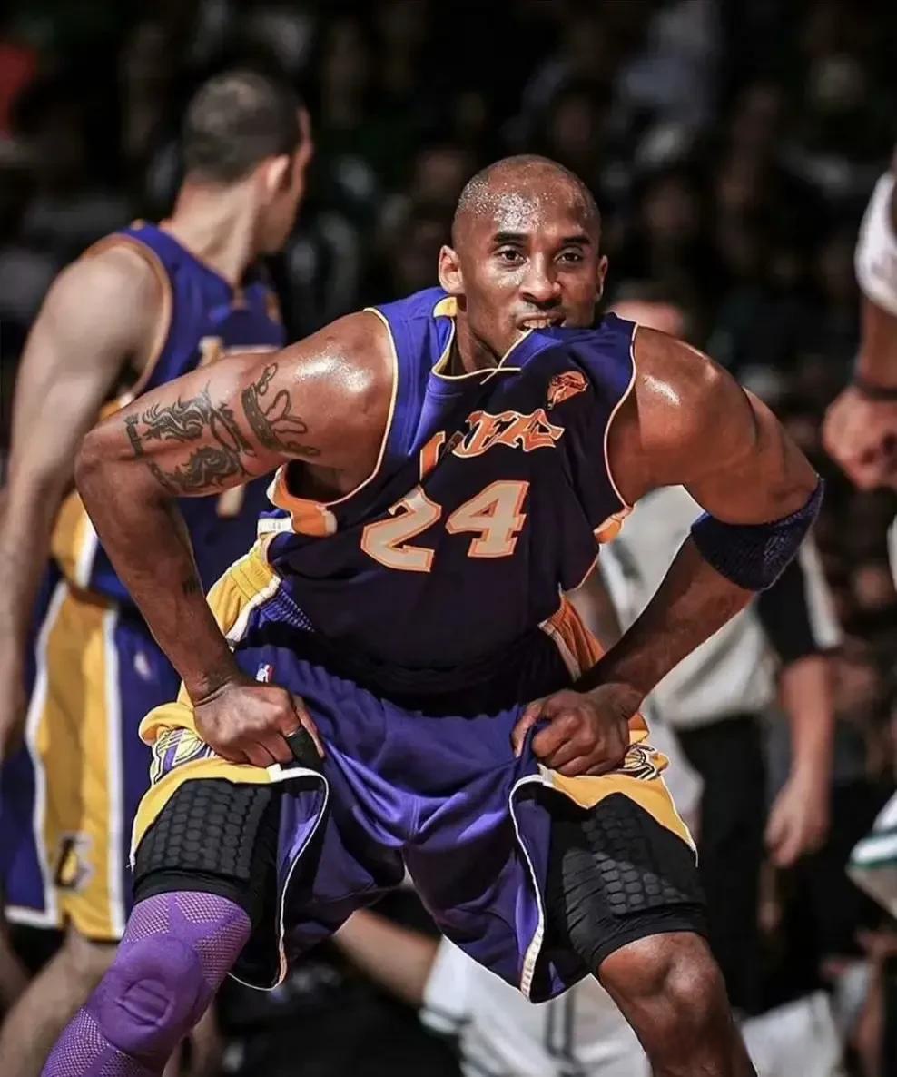 安全区域 安全区域